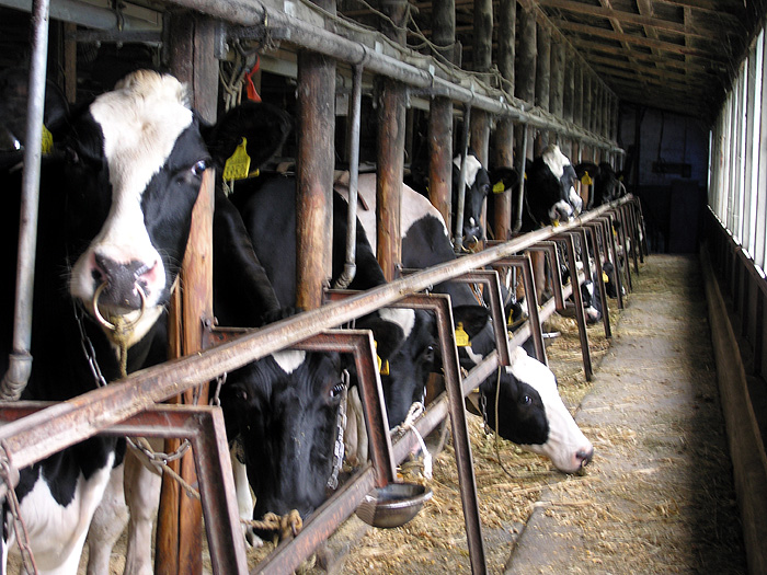 �������̓�������