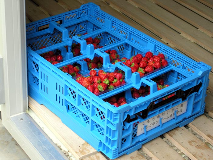 �������̃R���e�i