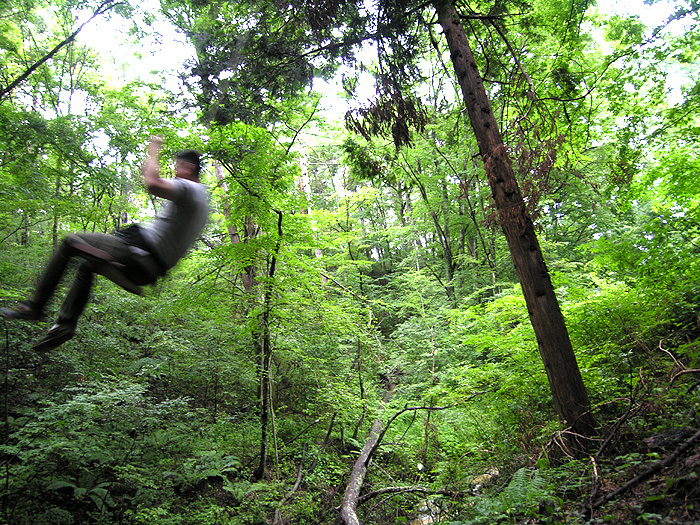 �c���[�n�E�X�̃u�����R�ɏ�郁���o�[