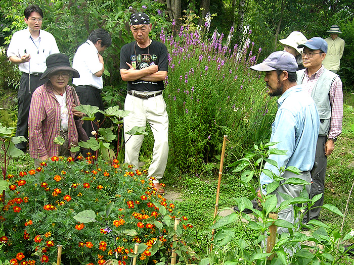 �L�b�`���K�[�f���ɂ̓I�N����s�[�}���Ȃǂ̖�؂ɍ������ĉԂ�n�[�u���A�����Ă���B�����o�[�̔M�S�Ȏ���ɒ��J�ɓ�����a�v�䂳��B