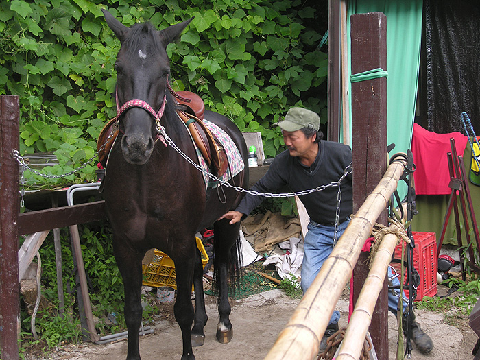 3�΂̔n�u��́v�Ƒ哇����