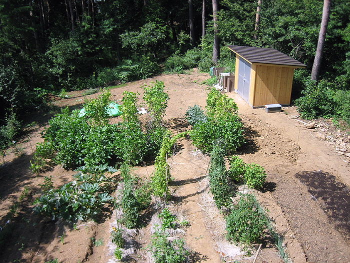 �Ƃ̑����猩���낷���Ƃ̂ł��锨